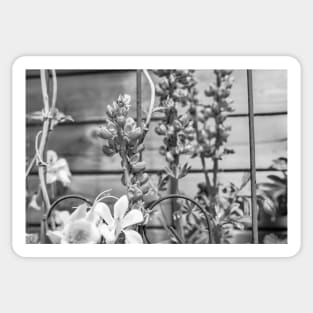 Garden flowers Sticker